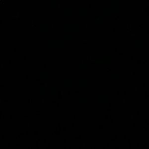 Meet your Posher, Lily